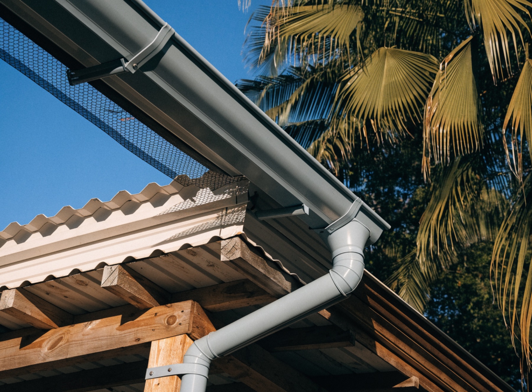 A newly fitted gutter and downpipe on the corrugated iron roof of a Queenslander